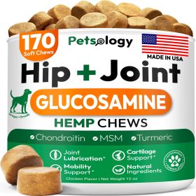 Hemp Hip and Joint Supplement for Dogs Glucosamine for Dogs 170 Mobility Support Chews Advanced Joint Pain Relief Treats with Chondroitin MSM Tur